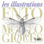 Les illustrations entomologiques