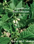 Compendium of bean diseases