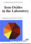 Iron oxides in the laboratory : preparation and characterization