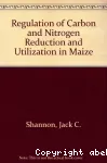 Regulation of carbon and nitrogen reduction and utilization in maize