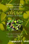 Identification et caractrisation des varits d'olivier cultives en france. Tome 1